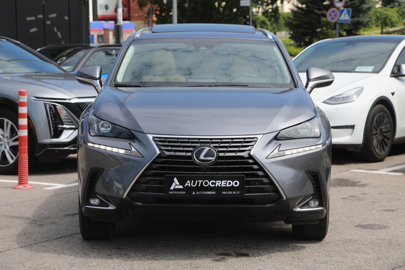 Lexus NX