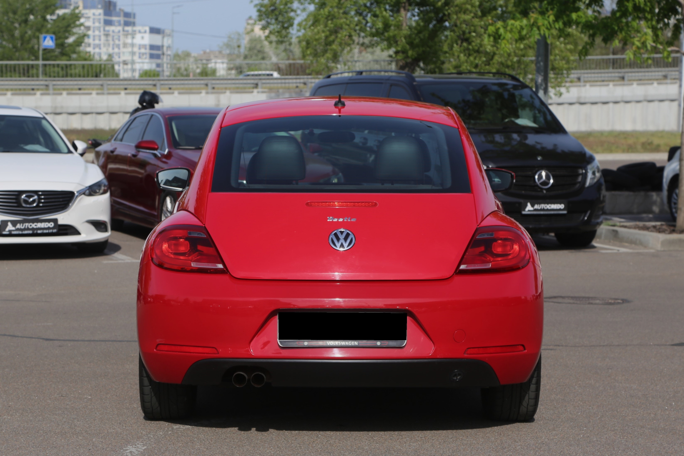 Volkswagen Beetle