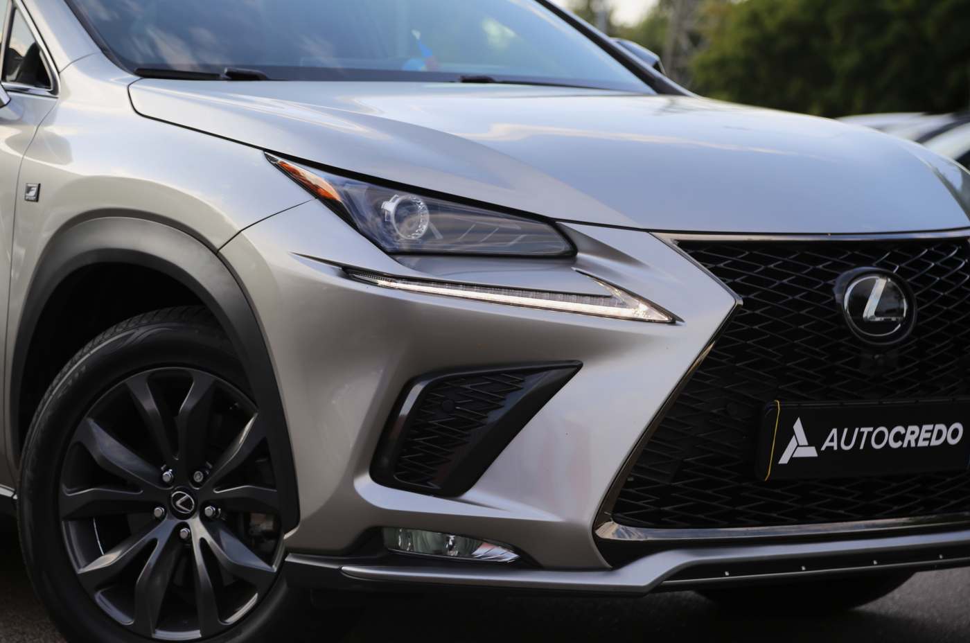 Lexus NX