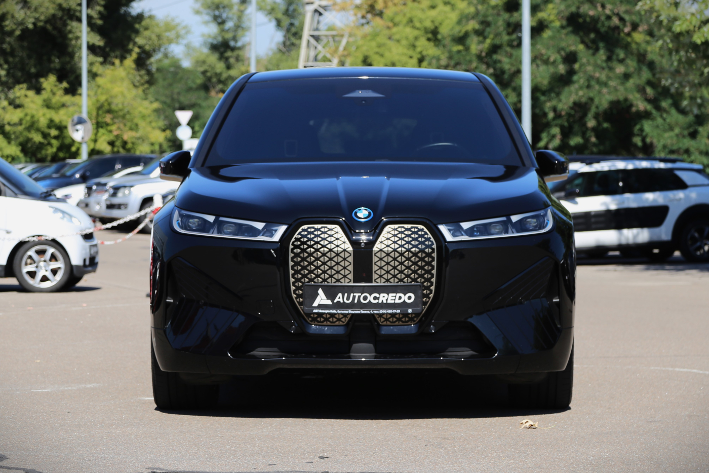 BMW iX