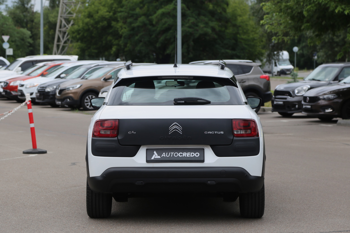 Citroen C4 Cactus