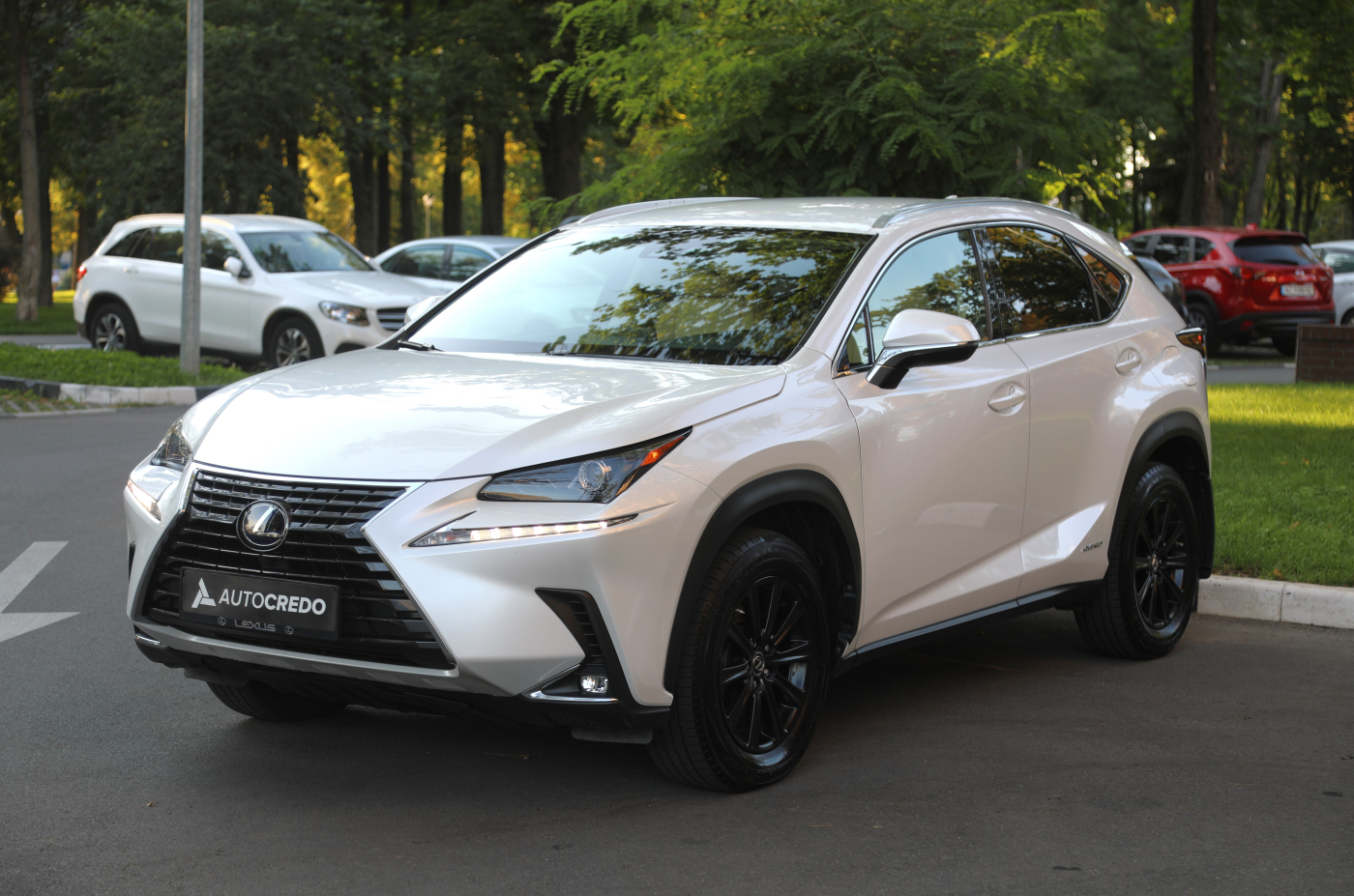 Lexus NX