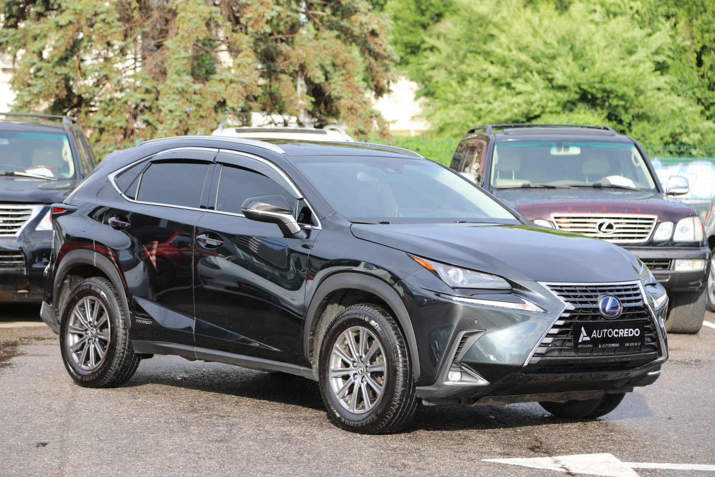 Lexus NX