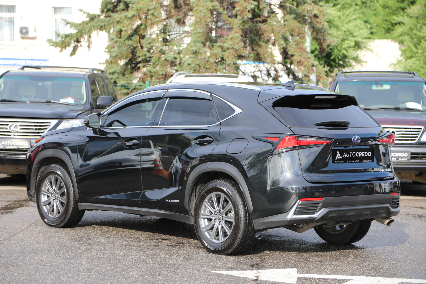 Lexus NX