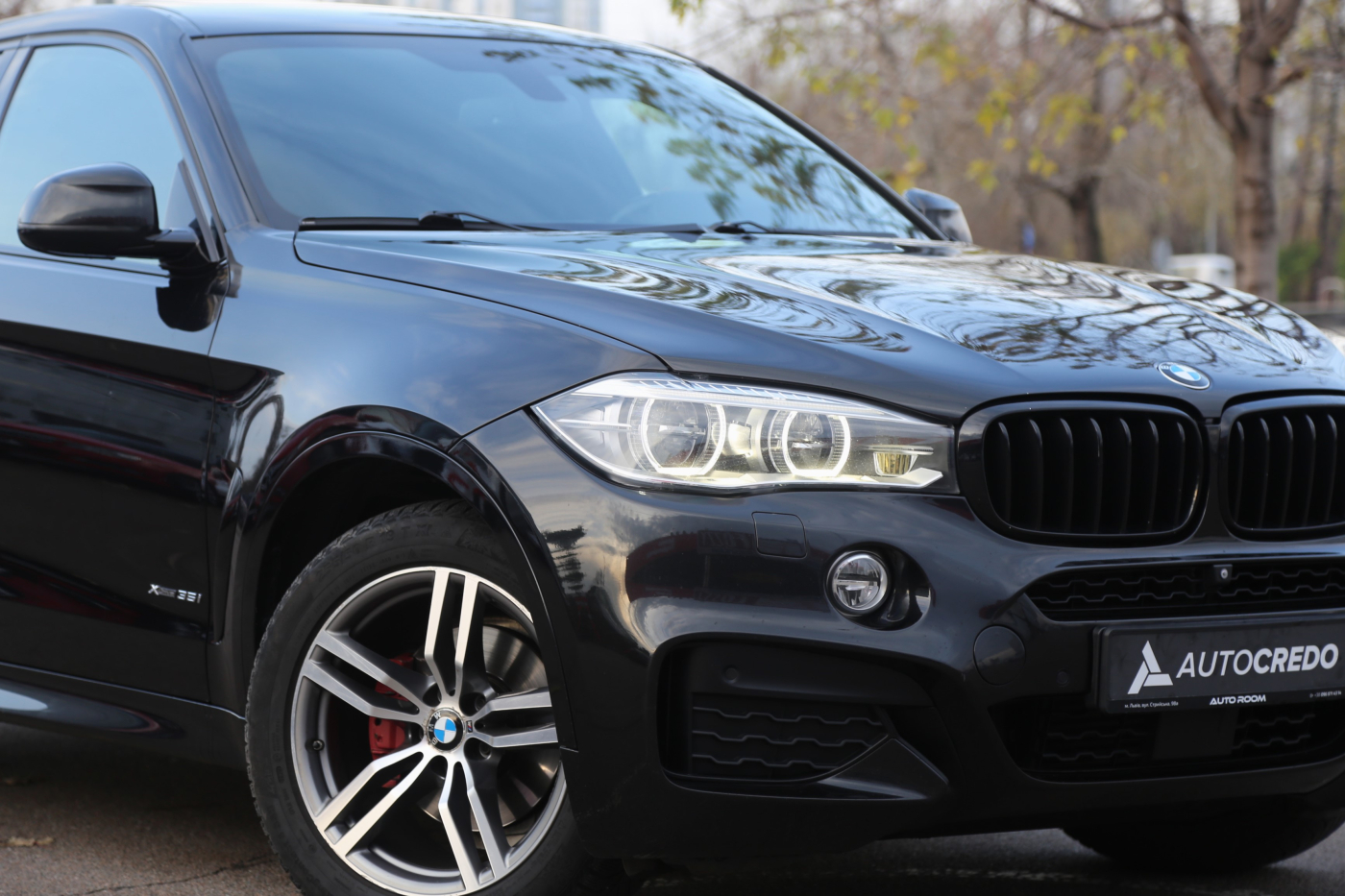 BMW X6